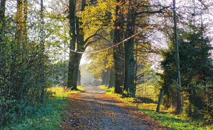 mieszkanie na sprzedaż - Gliwice